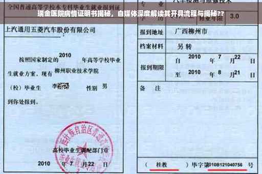 瑞金医院病情证明书揭秘，自媒体深度解读其开具流程与揭秘??
