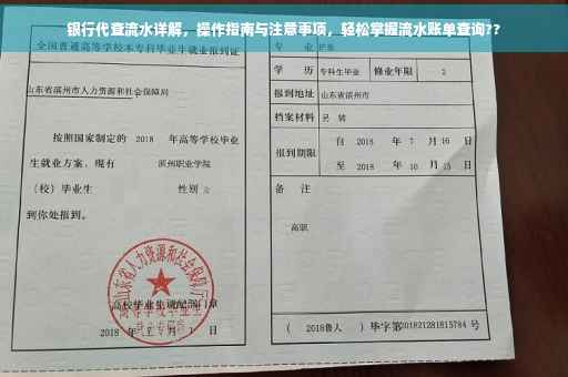 银行代查流水详解，操作指南与注意事项，轻松掌握流水账单查询??