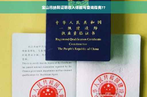 宝山市纳税证明收入详解与查询指南??
