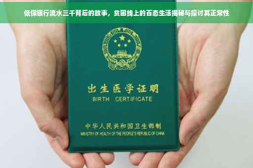 低保银行流水三千背后的故事，贫困线上的百态生活揭秘与探讨其正常性