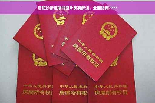 肝脏诊断证明书图片及其解读，全面指南????