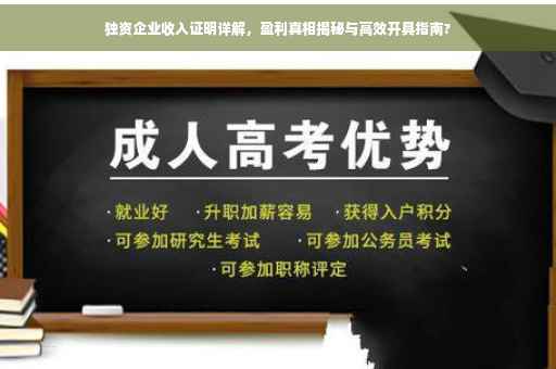 独资企业收入证明详解，盈利真相揭秘与高效开具指南?