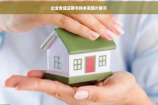 企业资信证明书样本及图片展示