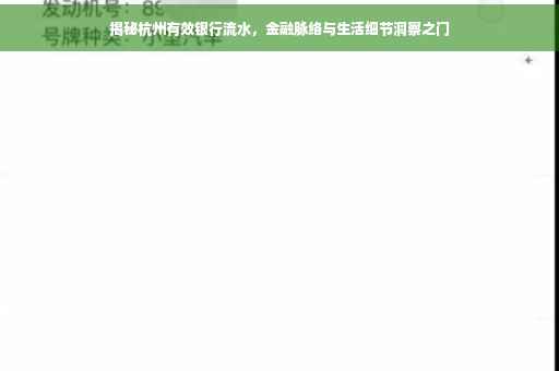 揭秘杭州有效银行流水，金融脉络与生活细节洞察之门