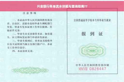 兴业银行账单流水详解与查询指南??
