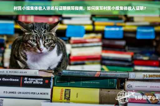 村民小组集体收入详述与证明撰写指南，如何撰写村民小组集体收入证明？