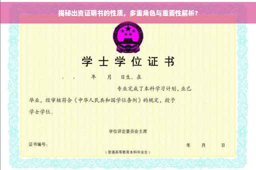 揭秘出资证明书的性质，多重角色与重要性解析?