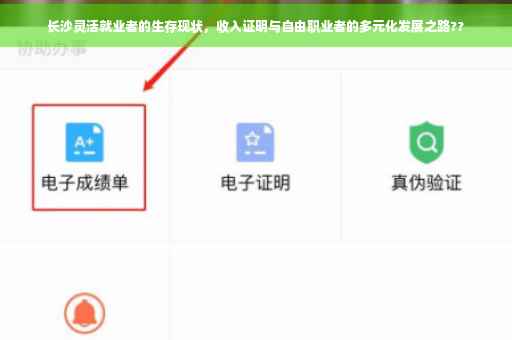 长沙灵活就业者的生存现状，收入证明与自由职业者的多元化发展之路??
