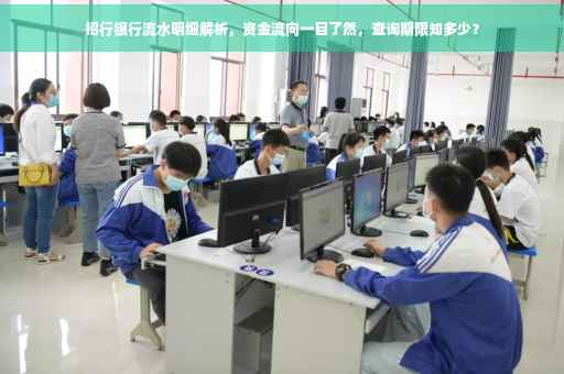 招行银行流水明细解析，资金流向一目了然，查询期限知多少？