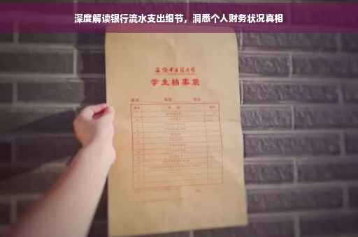 深度解读银行流水支出细节，洞悉个人财务状况真相