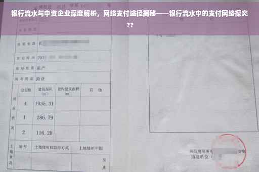 银行流水与中资企业深度解析，网络支付途径揭秘——银行流水中的支付网络探究 ??