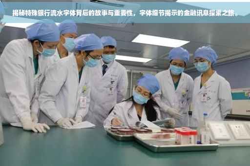 揭秘特殊银行流水字体背后的故事与重要性，字体细节揭示的金融讯息探索之旅。