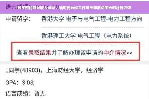 数字游民签证收入证明，新时代远程工作与全球流动生活的赚钱之道