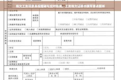 拖欠工资现象真相揭秘与应对指南，工资拖欠证明书撰写要点解析