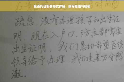 受委托证明书格式详解，撰写指南与模板