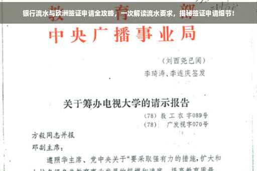 银行流水与欧洲签证申请全攻略，一次解读流水要求，揭秘签证申请细节！