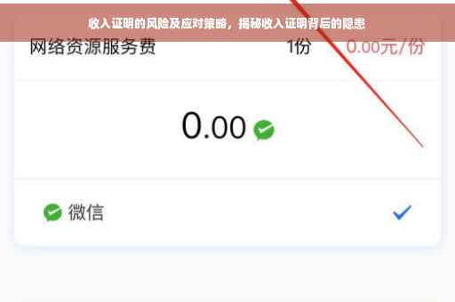 收入证明的风险及应对策略，揭秘收入证明背后的隐患