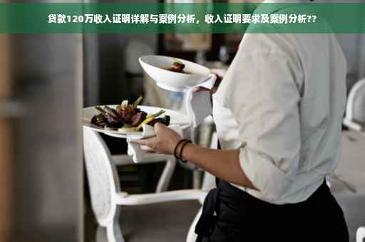 贷款120万收入证明详解与案例分析，收入证明要求及案例分析??