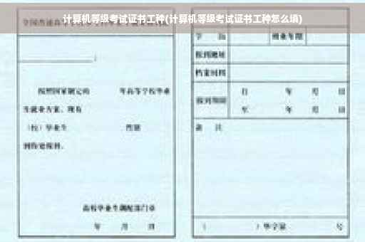 计算机等级考试证书工种(计算机等级考试证书工种怎么填)