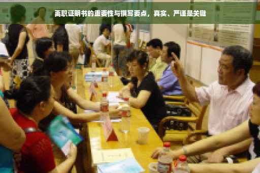 离职证明书的重要性与撰写要点，真实、严谨是关键