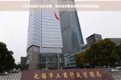 工作变动银行流水详解，如何应对职业变更中的财务挑战？