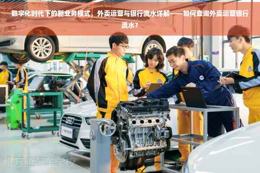 数字化时代下的新业务模式，外卖运营与银行流水详解——如何查询外卖运营银行流水？
