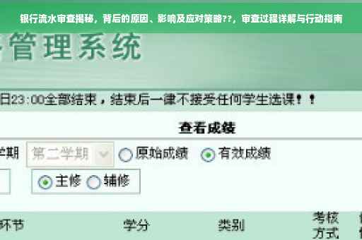银行流水审查揭秘，背后的原因、影响及应对策略??，审查过程详解与行动指南