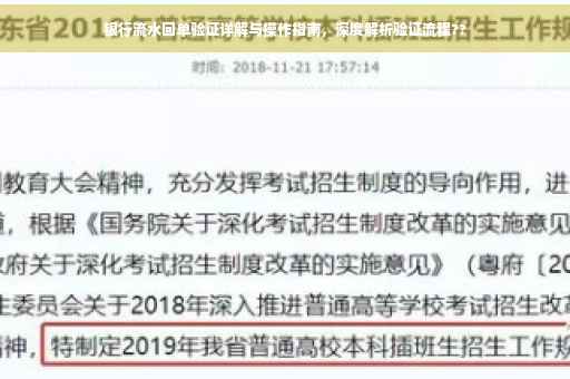 银行流水回单验证详解与操作指南，深度解析验证流程??