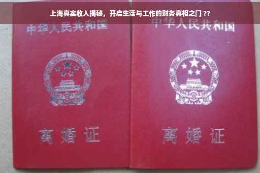上海真实收入揭秘，开启生活与工作的财务真相之门 ??