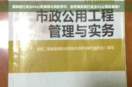 揭秘银行流水PS公司真相与风险警示，能否查到银行流水PS公司的真相？