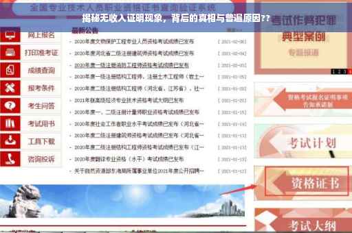 揭秘无收入证明现象，背后的真相与普遍原因??