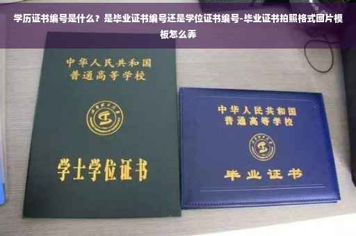 学历证书编号是什么？是毕业证书编号还是学位证书编号-毕业证书拍照格式图片模板怎么弄