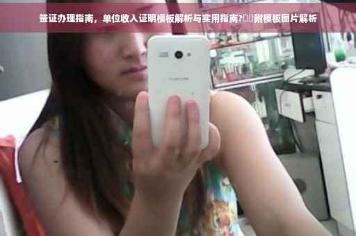 签证办理指南，单位收入证明模板解析与实用指南?⚡️附模板图片解析