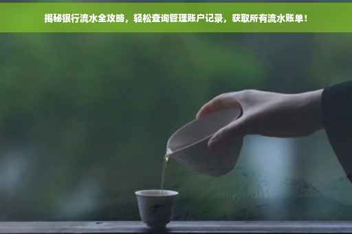 揭秘银行流水全攻略，轻松查询管理账户记录，获取所有流水账单！