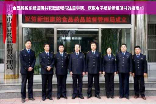 全面解析诊断证明书获取流程与注意事项，获取电子版诊断证明书的指南?✨