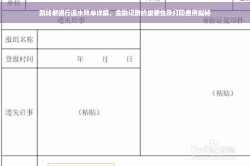 新加坡银行流水账单详解，金融记录的重要性及打印费用揭秘