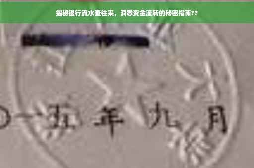 揭秘银行流水查往来,洞悉资金流转的秘密指南?? 揭秘银行流水查往来,洞悉资金流转的秘密指南??