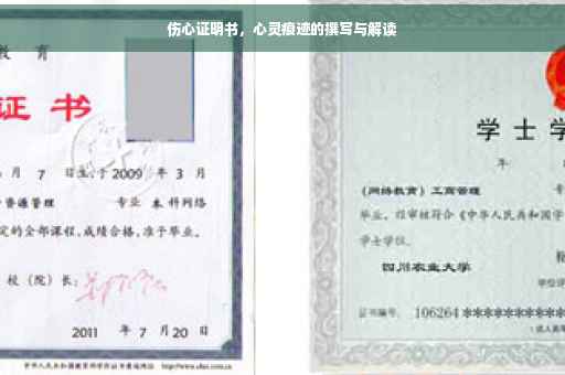 伤心证明书，心灵痕迹的撰写与解读