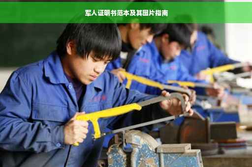 军人证明书范本及其图片指南