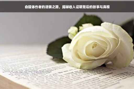 自媒体作者的逆袭之路，揭秘收入证明背后的故事与真相