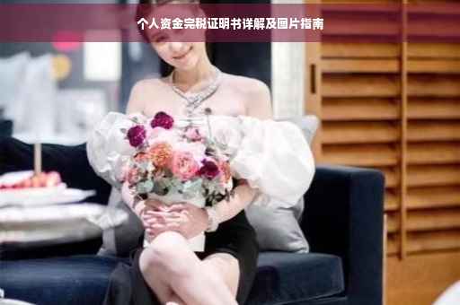 个人资金完税证明书详解及图片指南