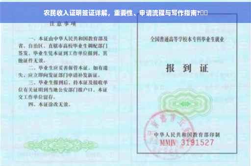 农民收入证明签证详解，重要性、申请流程与写作指南?⚡️