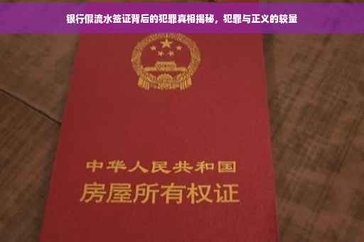 银行假流水签证背后的犯罪真相揭秘，犯罪与正义的较量