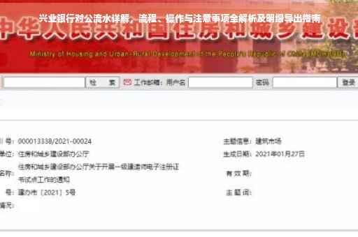 兴业银行对公流水详解，流程、操作与注意事项全解析及明细导出指南
