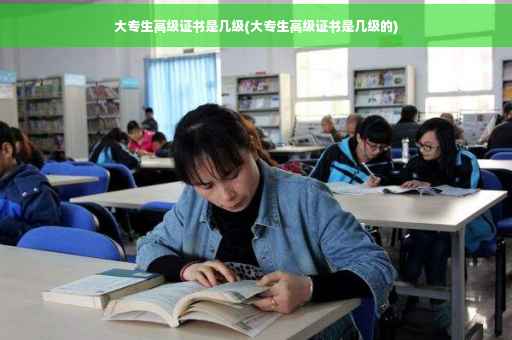 大专生高级证书是几级(大专生高级证书是几级的)