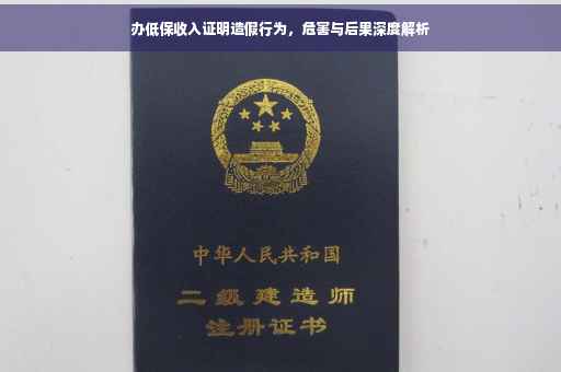 办低保收入证明造假行为，危害与后果深度解析