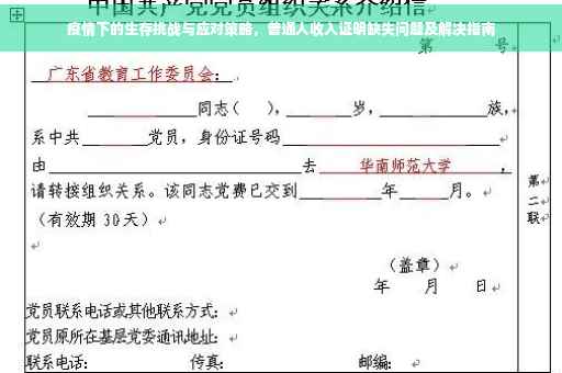 疫情下的生存挑战与应对策略，普通人收入证明缺失问题及解决指南
