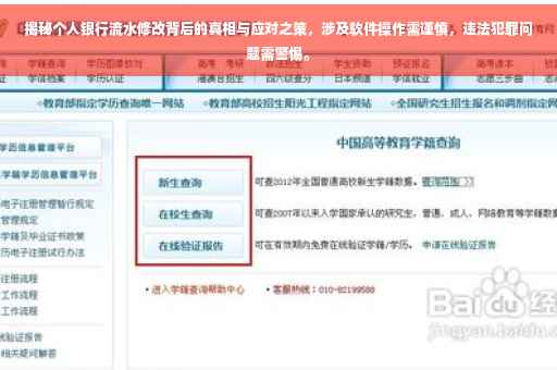 揭秘个人银行流水修改背后的真相与应对之策，涉及软件操作需谨慎，违法犯罪问题需警惕。