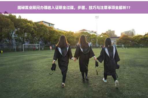 揭秘置业顾问办理收入证明全过程，步骤、技巧与注意事项全解析??