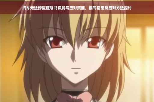汽车无法修复证明书详解与应对策略，撰写指南及应对方法探讨